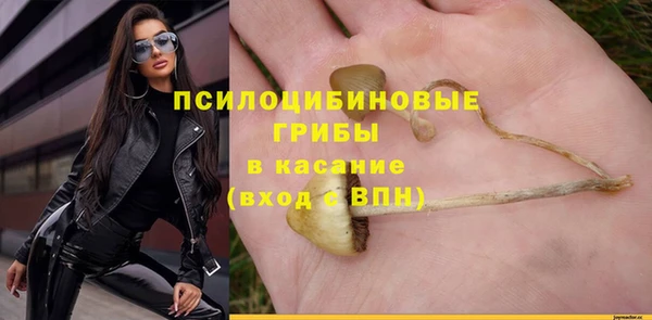 МДПВ Медвежьегорск