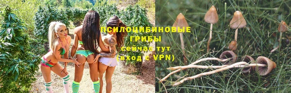 круглые Магас