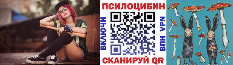 Псилоцибиновые грибы Psilocybe  Купить закладки  Лобня 